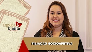 Explica Direito Filiação Socioafetiva  2019 [upl. by Eneli810]